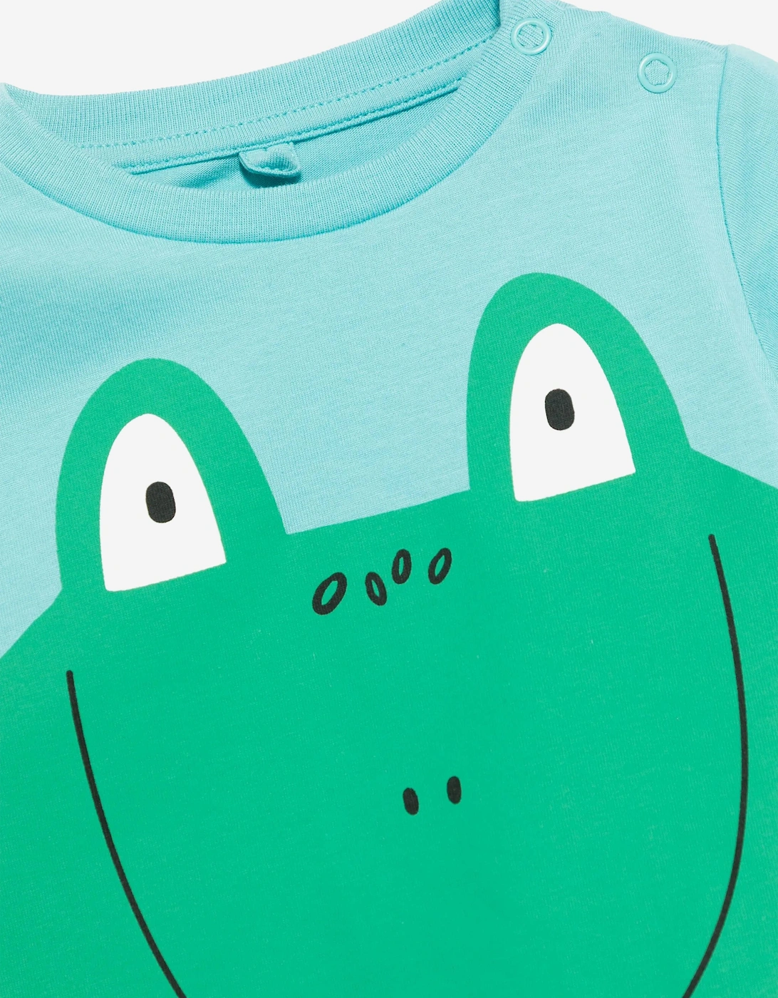 Baby Boys Frog T-Shirt in Green