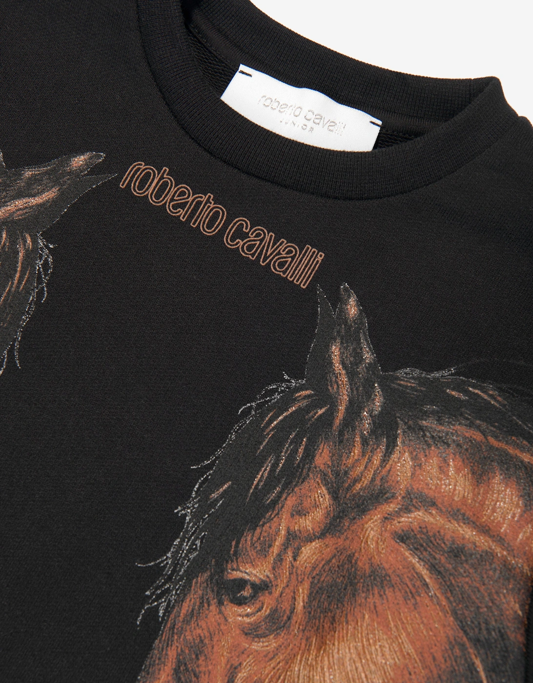 Boys Horses Sweatshirt in Black