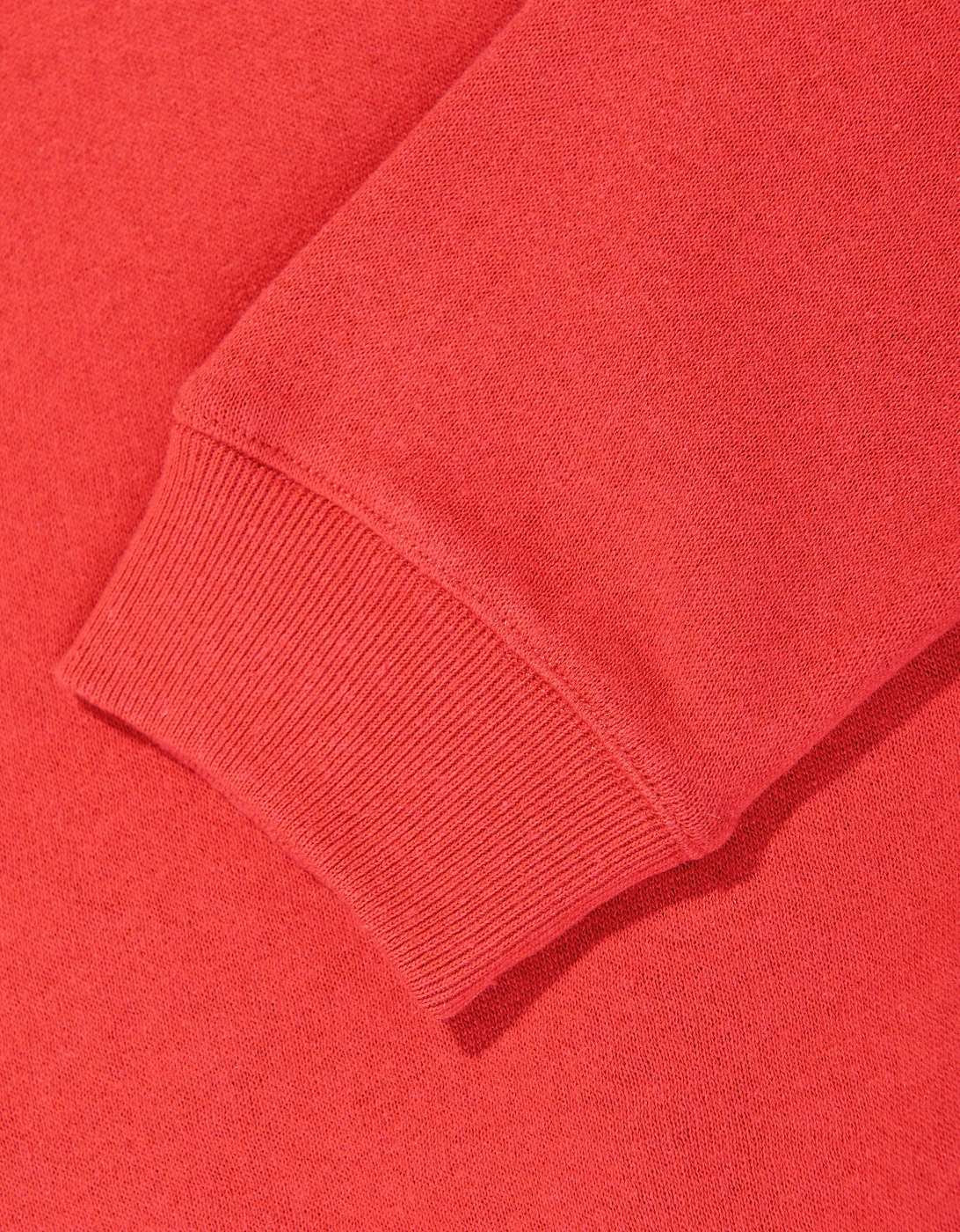 Kids Varsity Crest Sweatshirt in Red