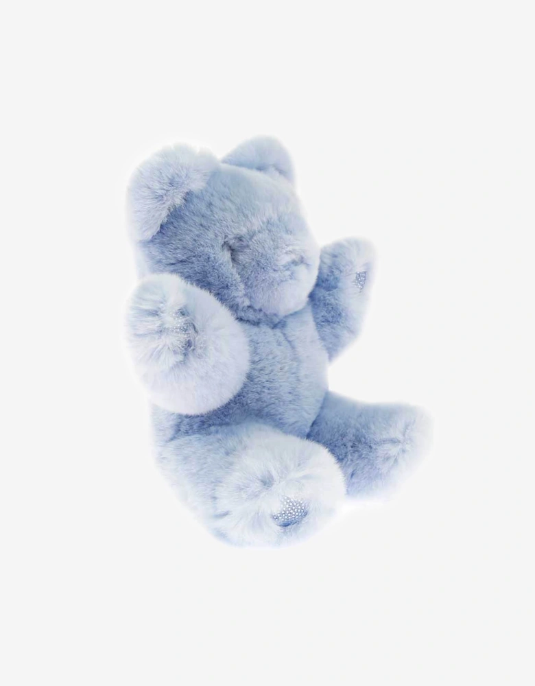 Boys Teddy Bear
