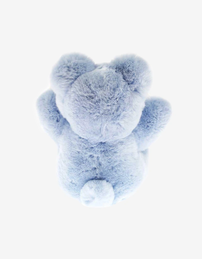Boys Teddy Bear
