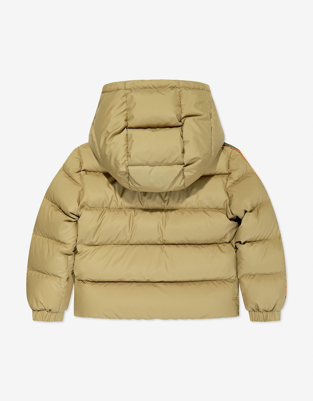 Enfant Boys Down Padded Benton Jacket in Green