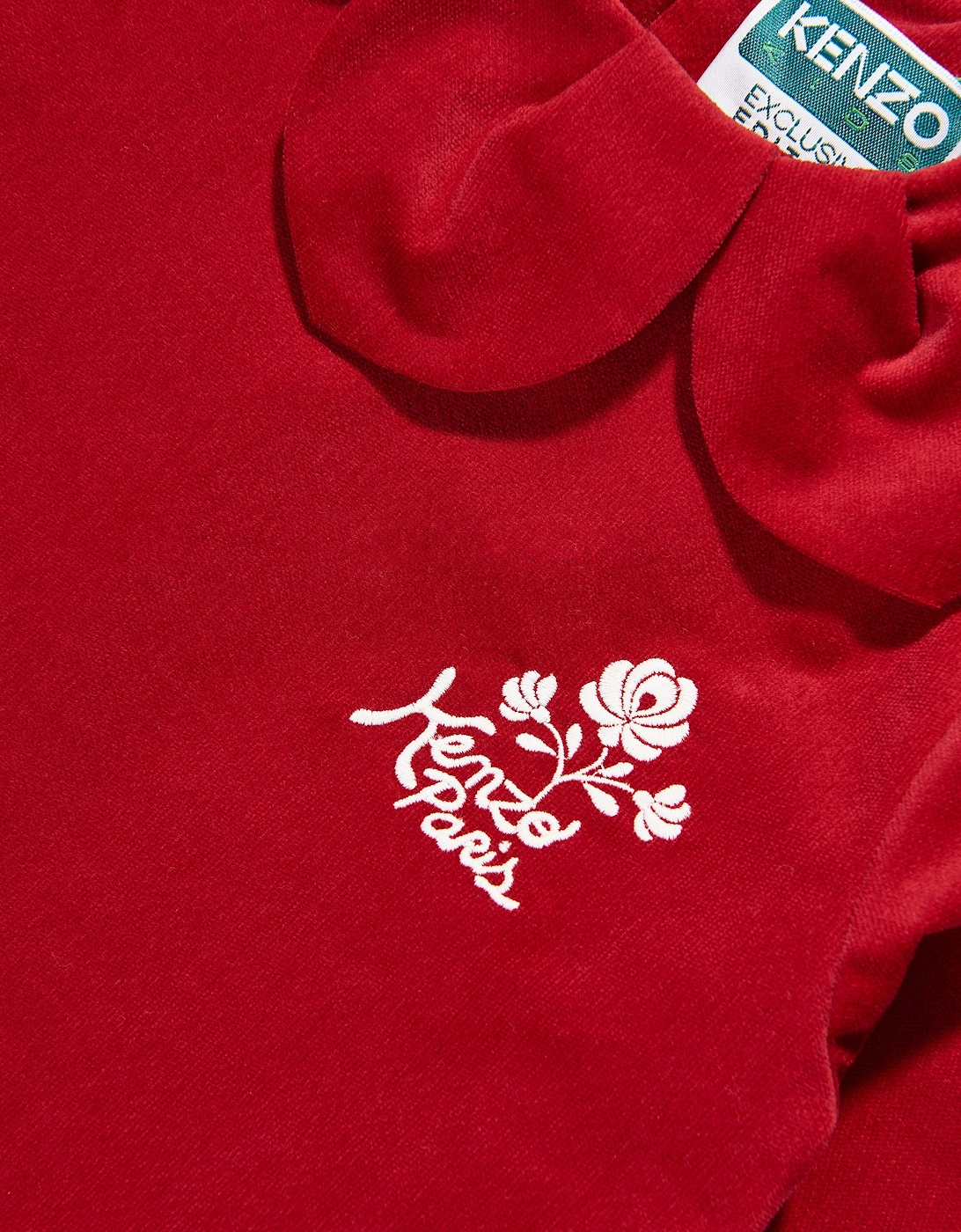 Girls Palatine Velvet Dress in Red
