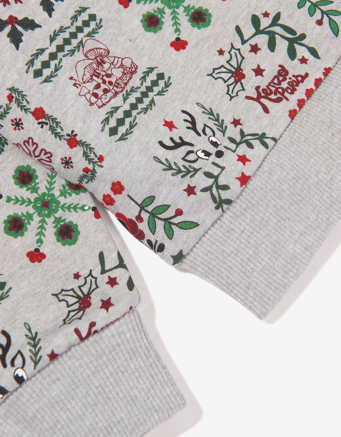 Boys Seasonal Print Sweatshirt in Grey