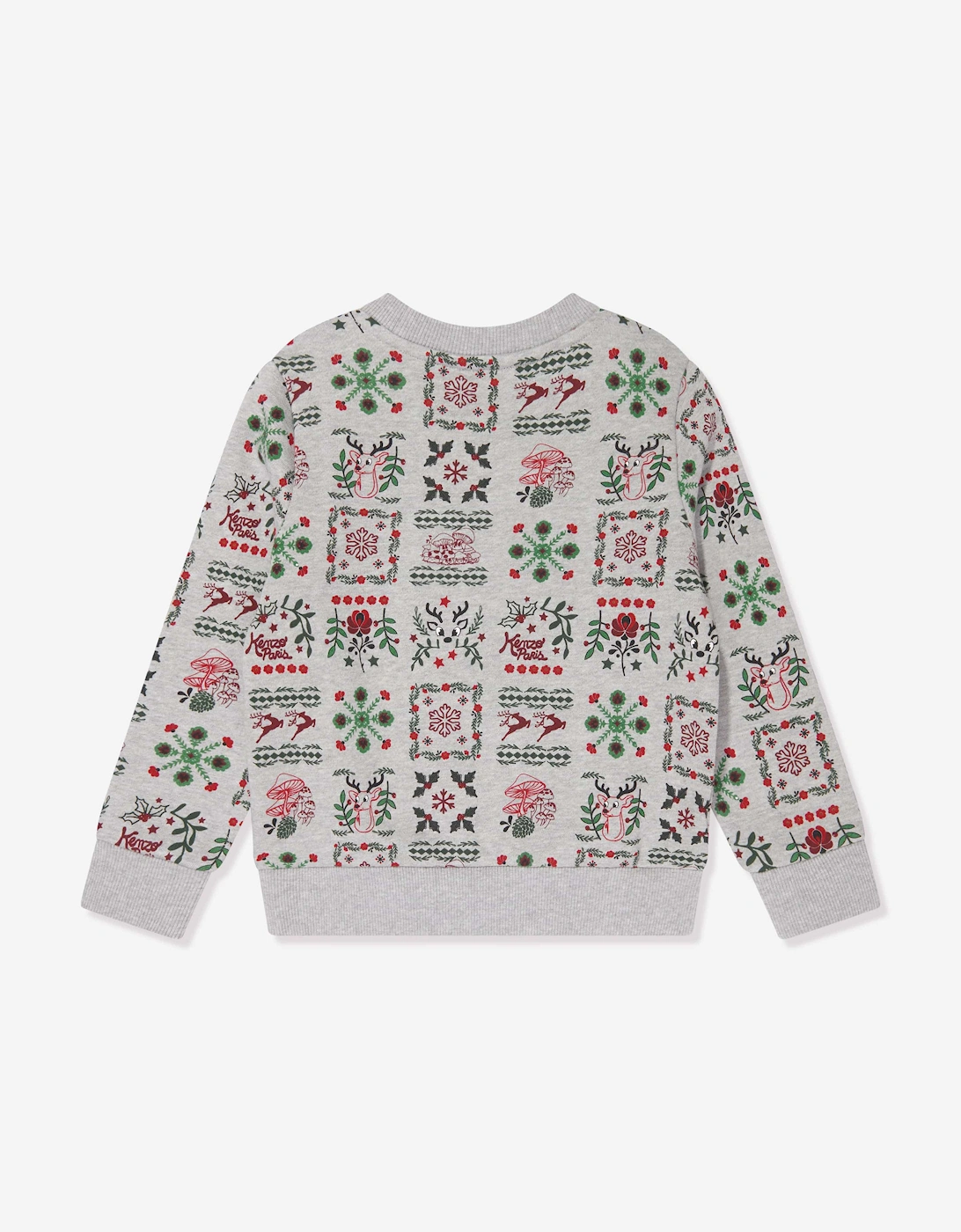 Boys Seasonal Print Sweatshirt in Grey