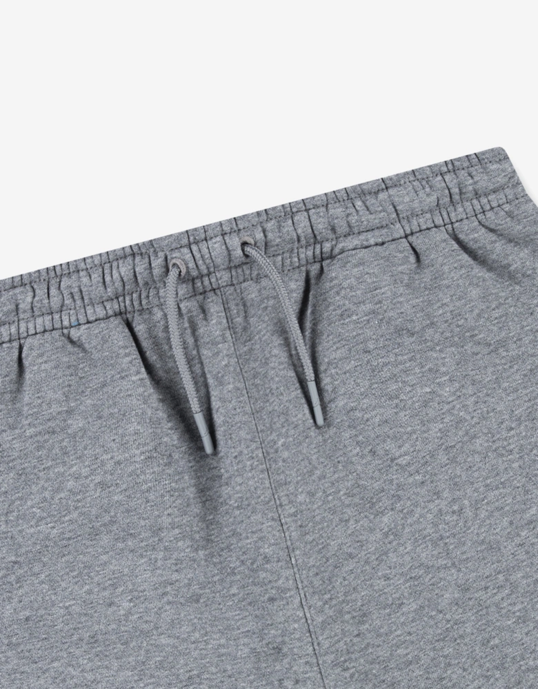 Boys MJ Stretch HBR Fleece Shorts in Grey