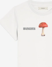 Thumbnail 2 of 2