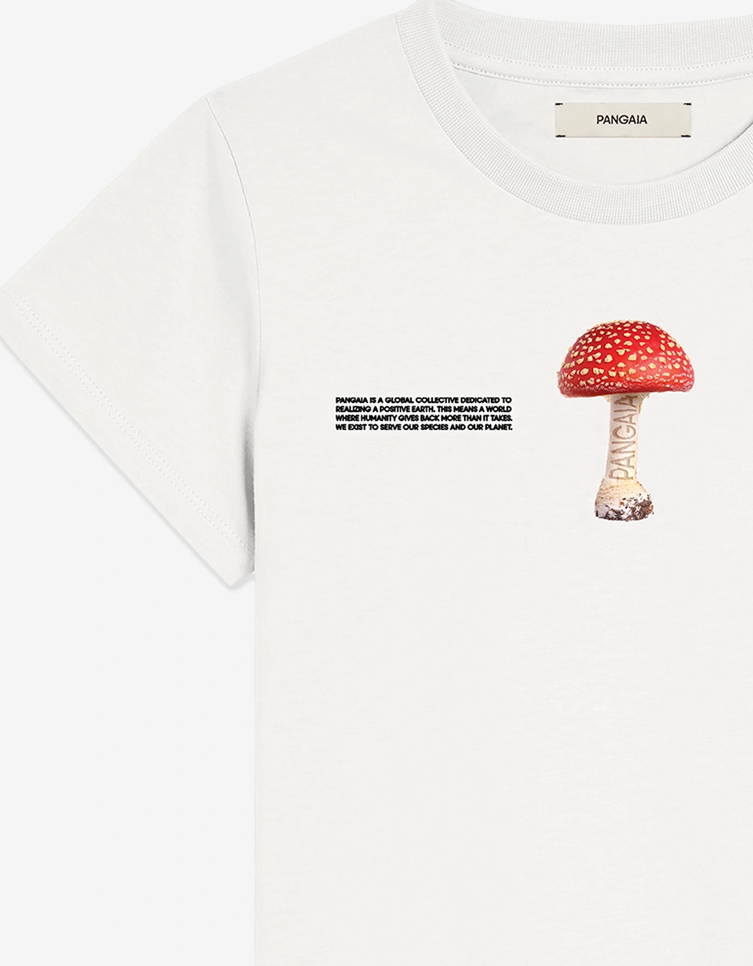 Kids 365 Midweight Mushroom T-Shirt in Ivory