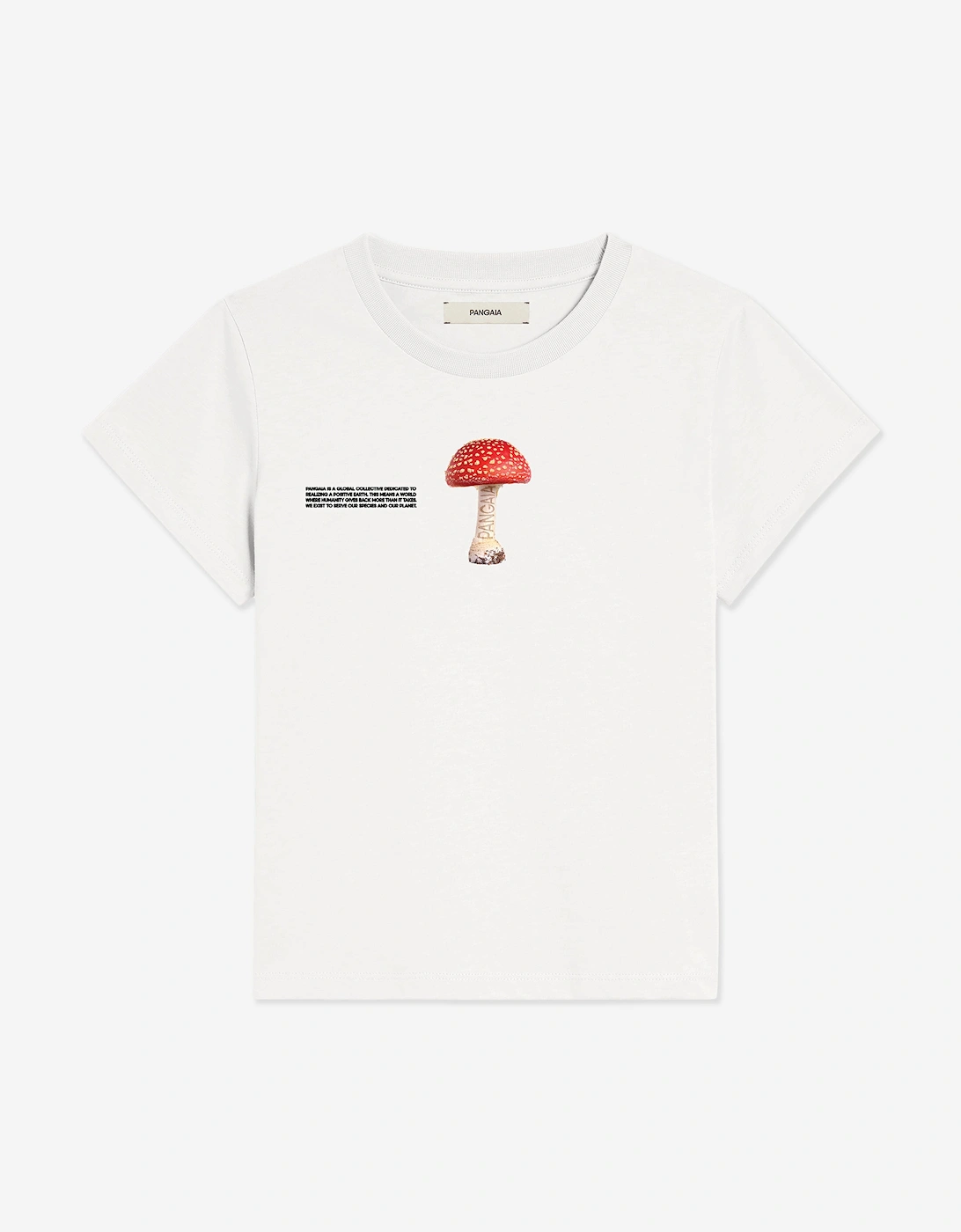 Kids 365 Midweight Mushroom T-Shirt in Ivory, 3 of 2