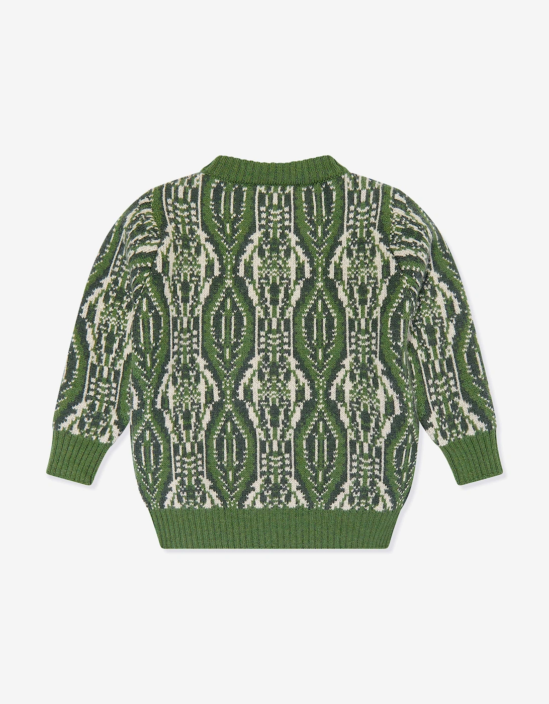 Boys Wool Knitted Jumper in Green