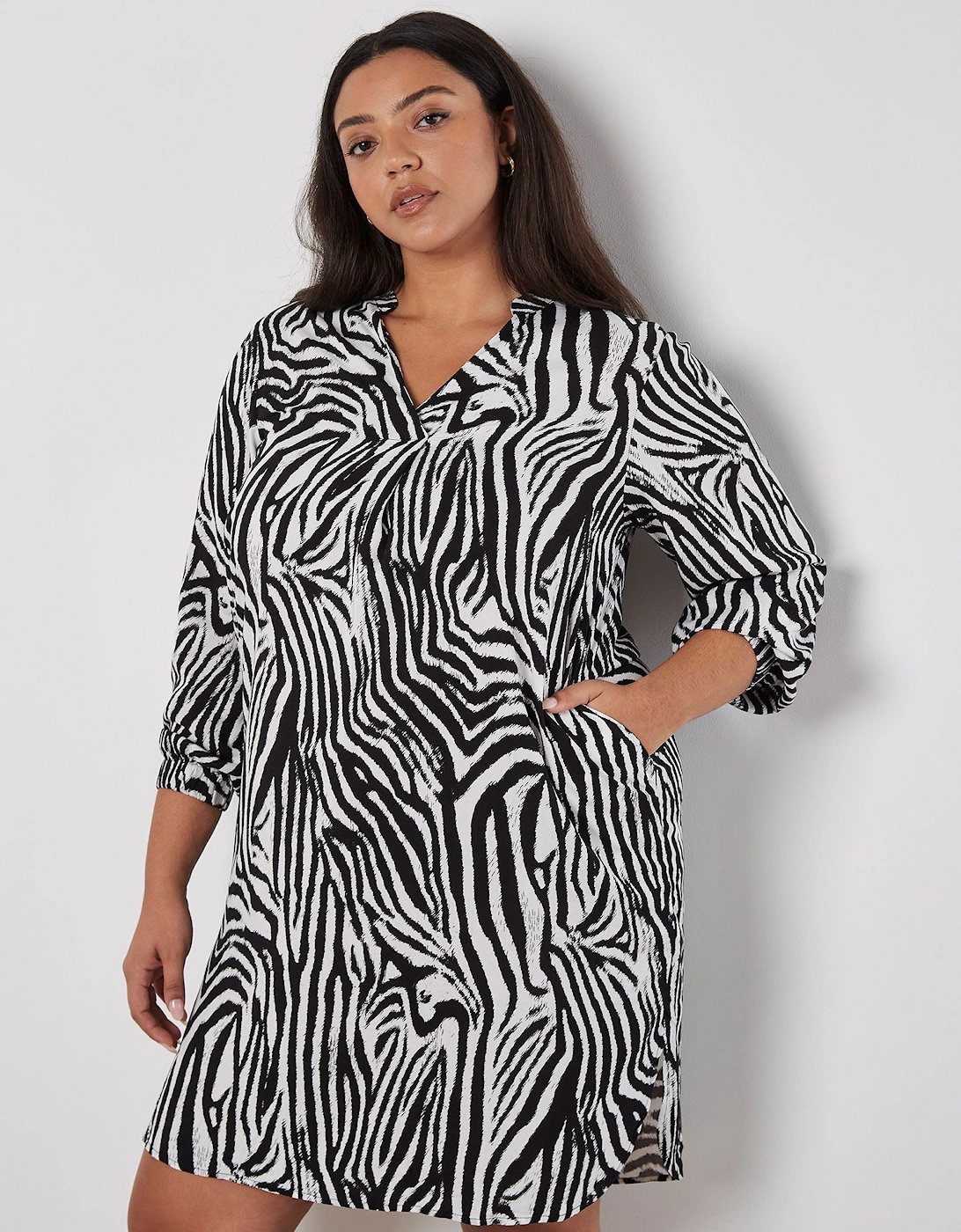 Curve Zebra Print Mini Dress, 2 of 1