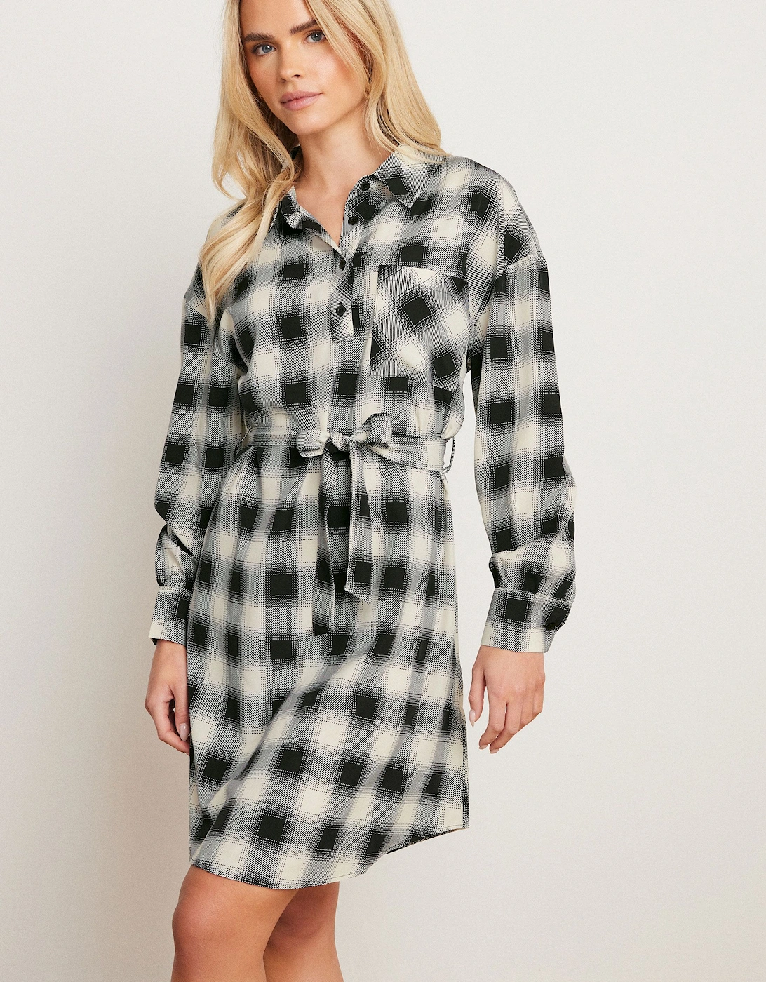 Petite Check Print Shirt Dress, 2 of 1
