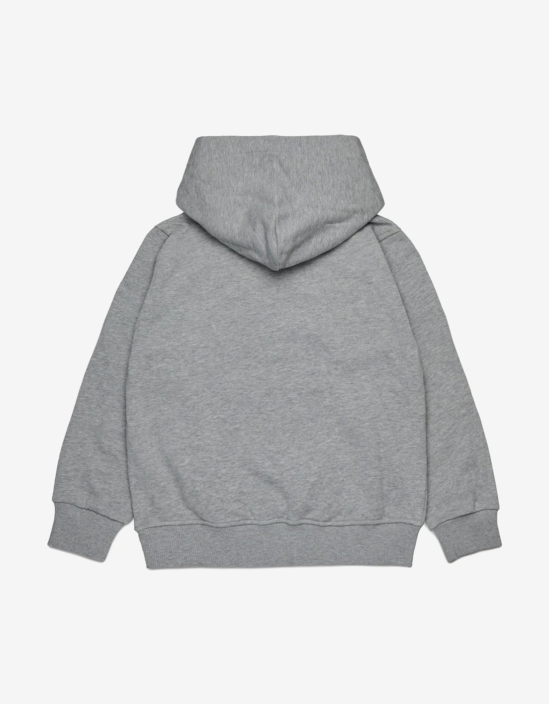 Kids Logo Hoodie in Grey