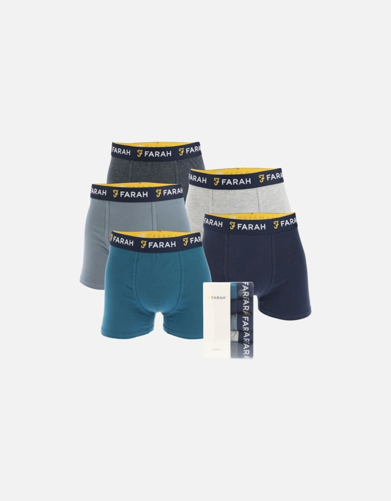 Mens Darrick 5 Pack Boxer Shorts