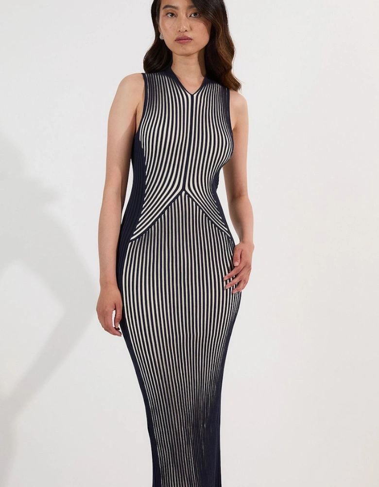 Petite Stripe Fitted Sleeveless Knitted Midi Dress