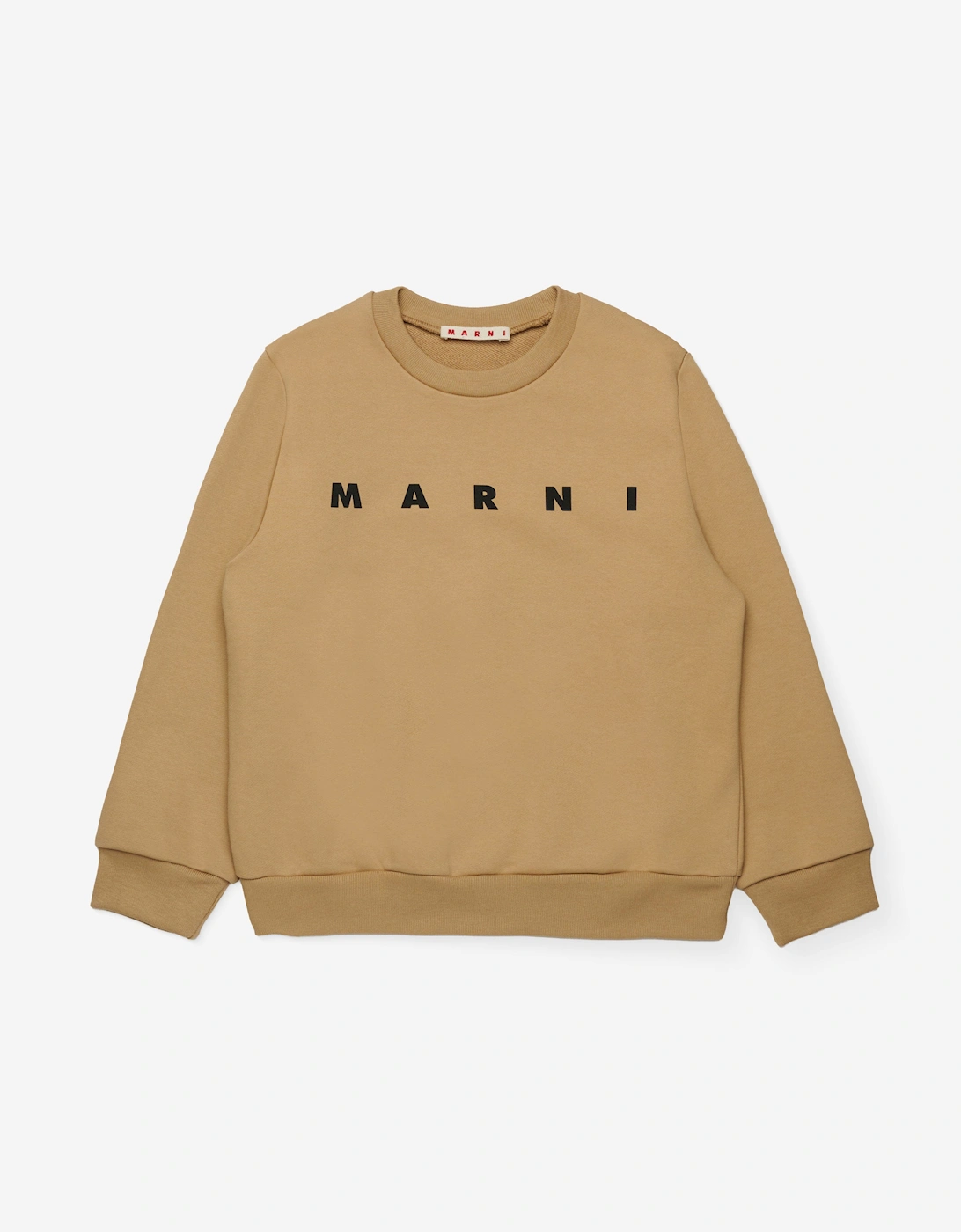 Kids Logo Sweatshirt in Beige, 5 of 4