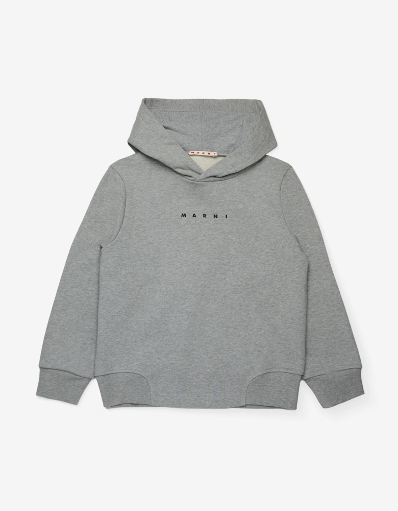 Kids Logo Hoodie in Grey