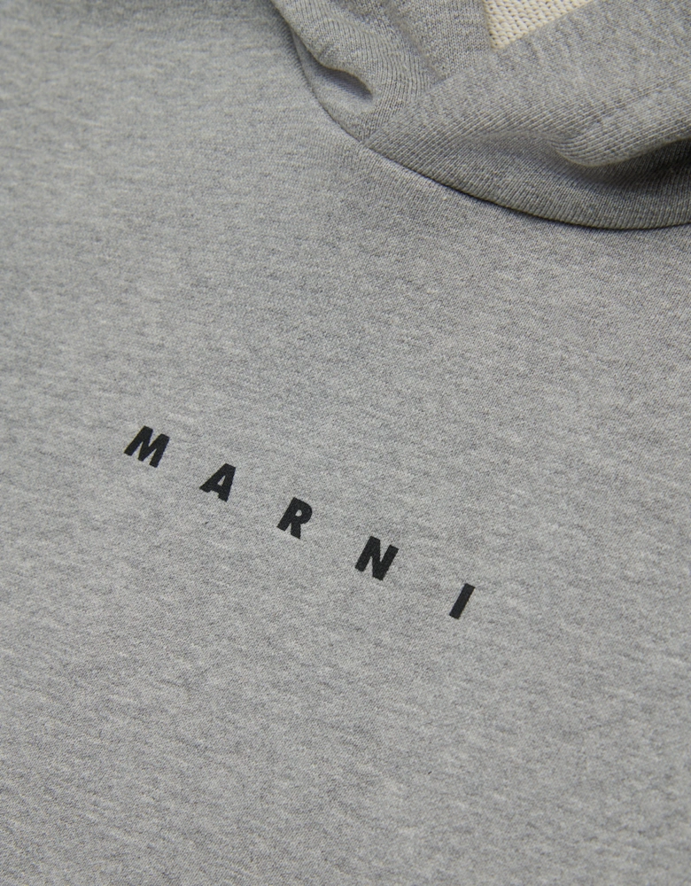 Kids Logo Hoodie in Grey