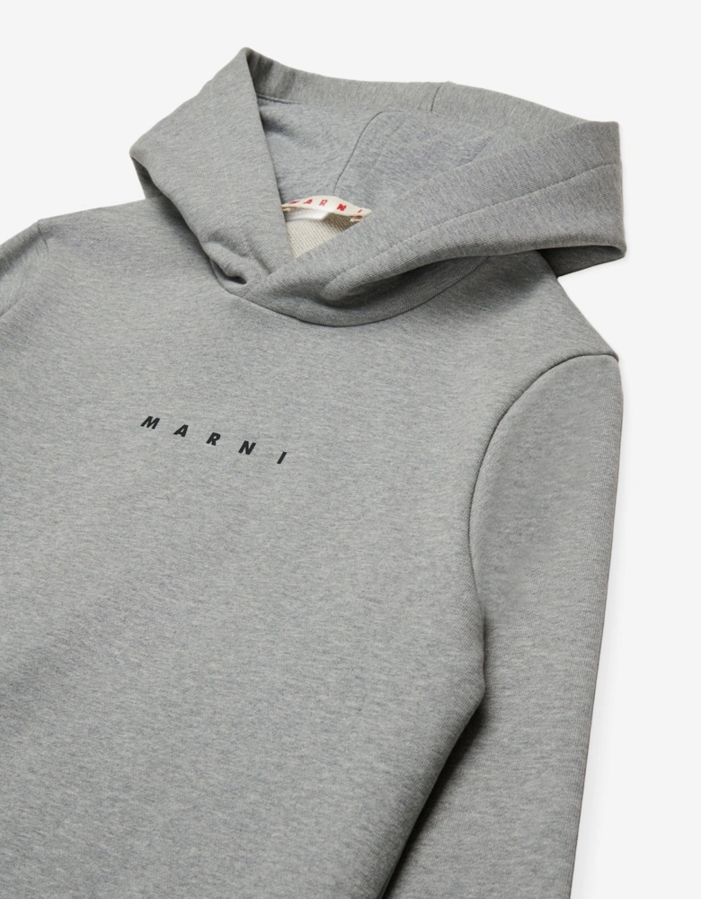 Kids Logo Hoodie in Grey