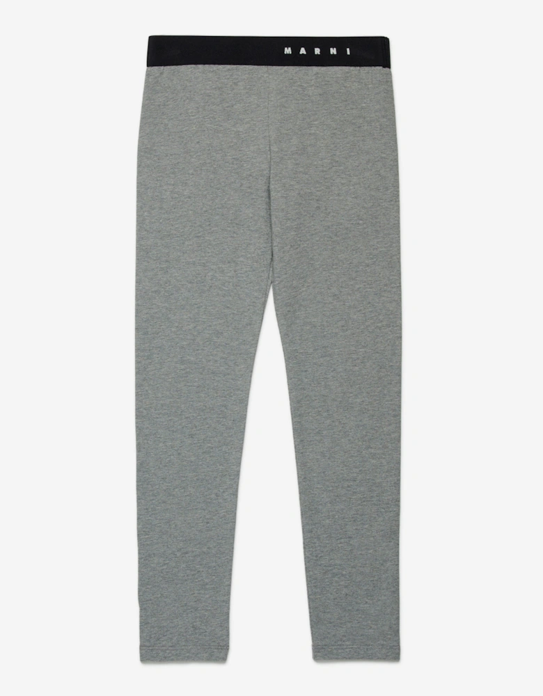 Girls Logo Waistband Leggings in Grey