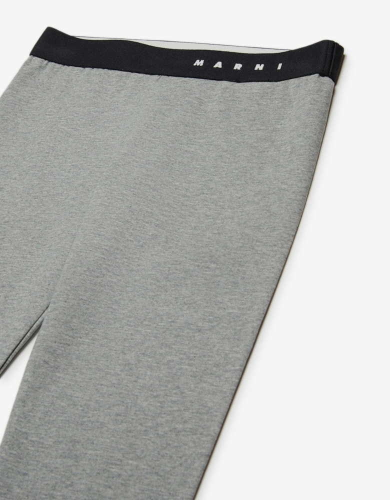 Girls Logo Waistband Leggings in Grey