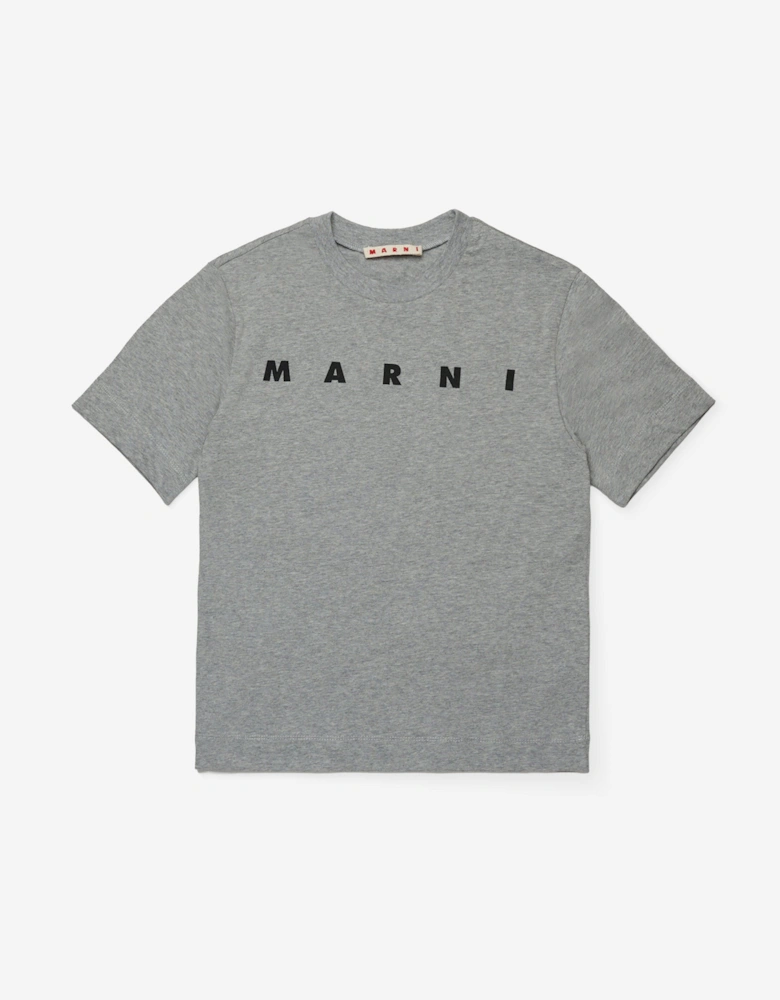 Kids Logo T-Shirt in Grey