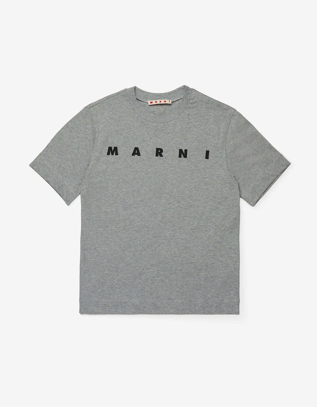 Kids Logo T-Shirt in Grey, 4 of 3