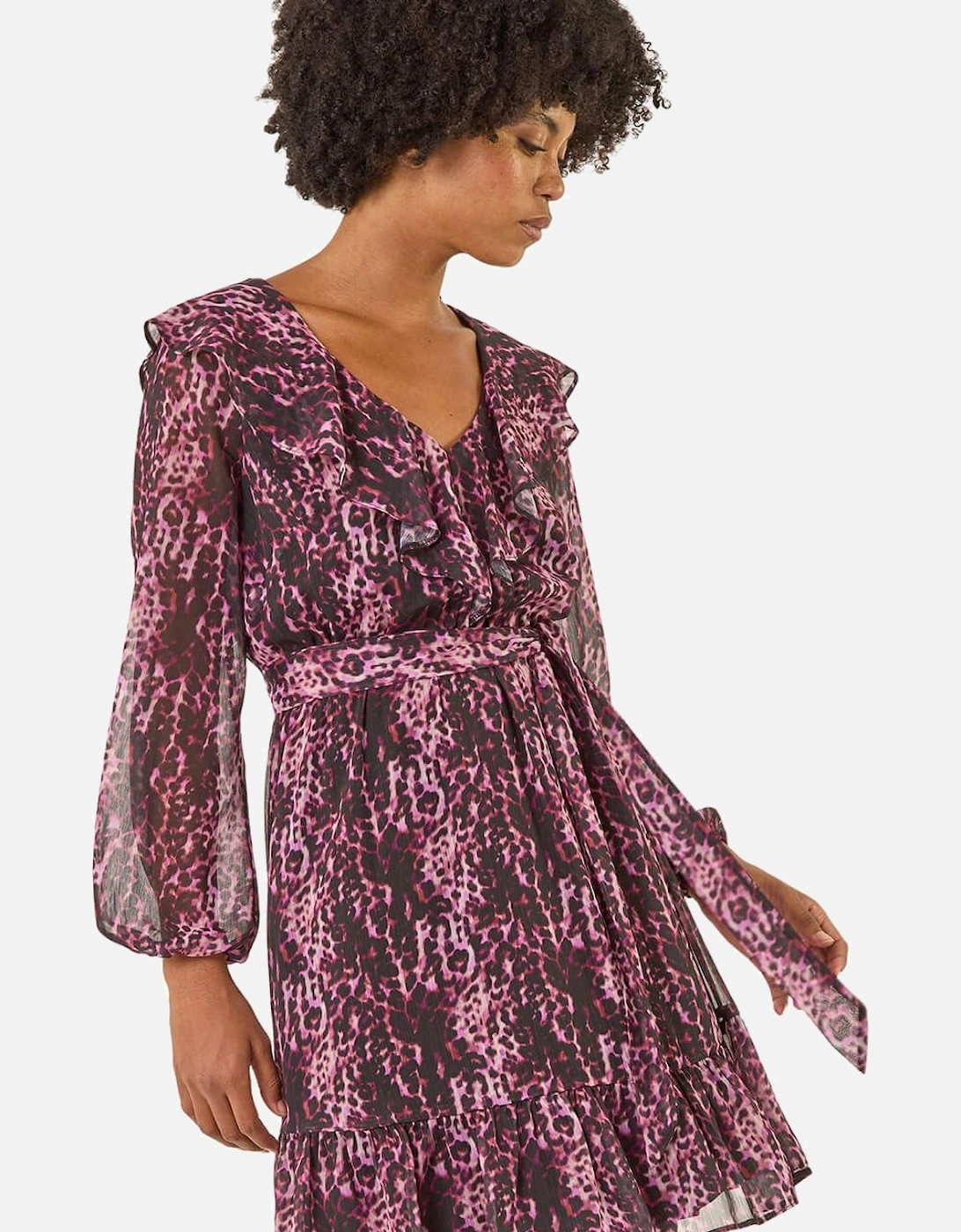 Animal Print Frill V-Neck Dress, 2 of 1