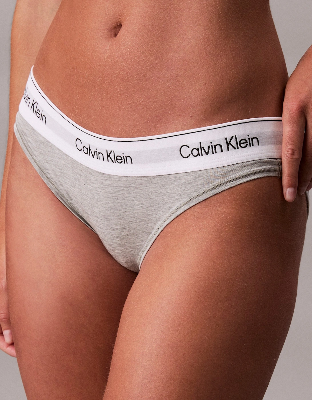 Icon Cotton Modal Womens Bikini Brief Grey