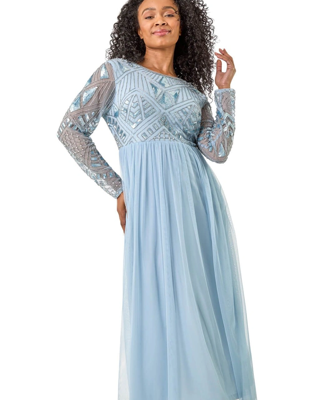 Petite Embellished Mesh Dress, 2 of 1