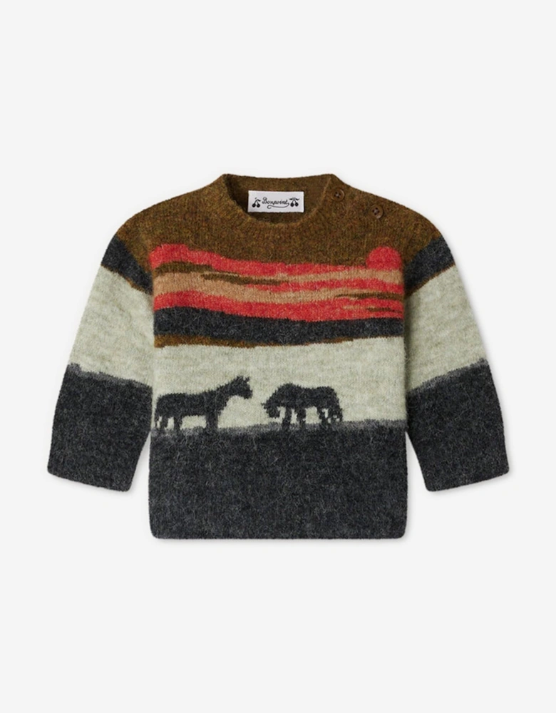 Baby Boys Almire Jumper in Navy