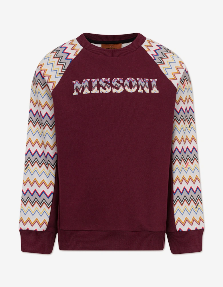 Boys Zigzag Logo Sweatshirt in Purple
