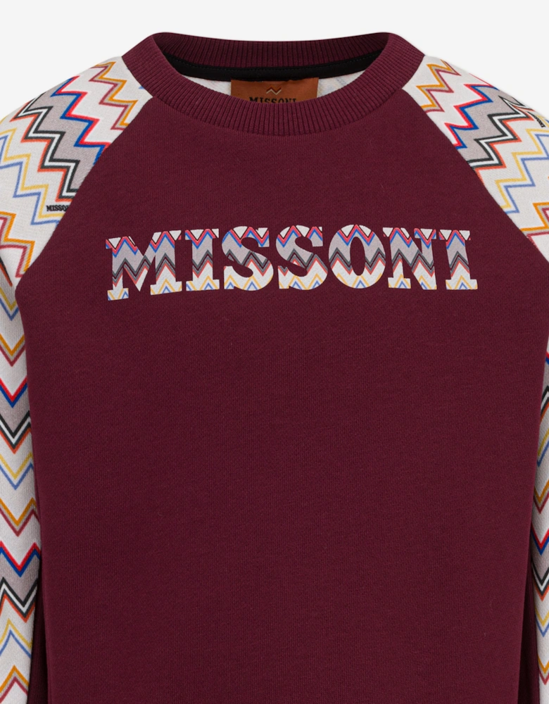 Boys Zigzag Logo Sweatshirt in Purple