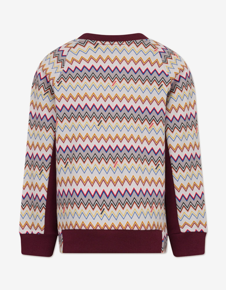 Boys Zigzag Logo Sweatshirt in Purple