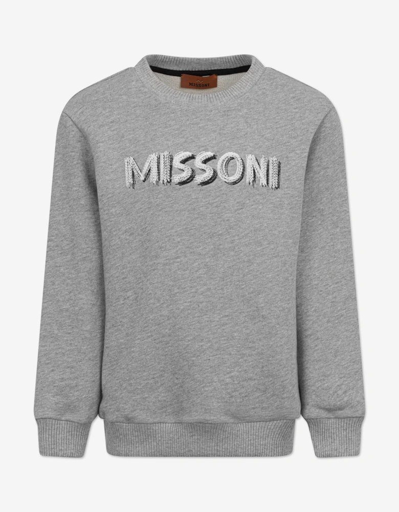 Boys Logo Sweatshirt in Grey