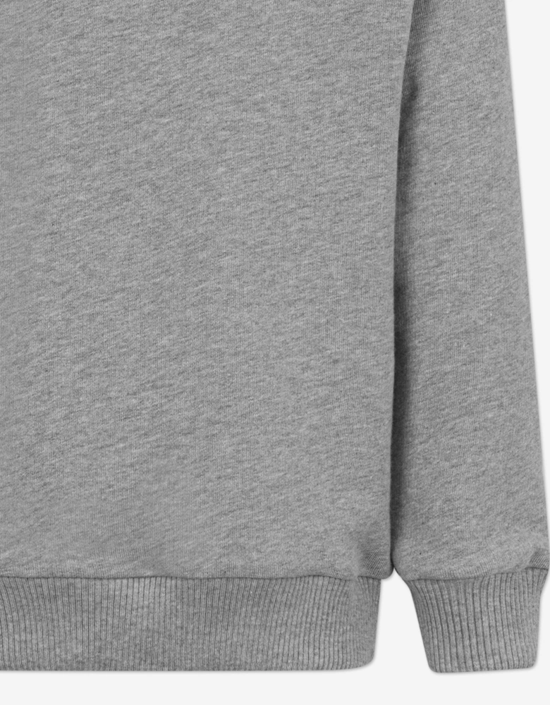 Boys Logo Sweatshirt in Grey
