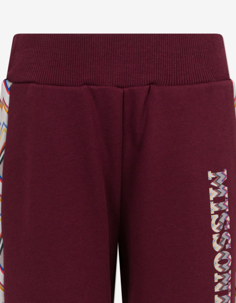 Boys Logo Joggersin Purple