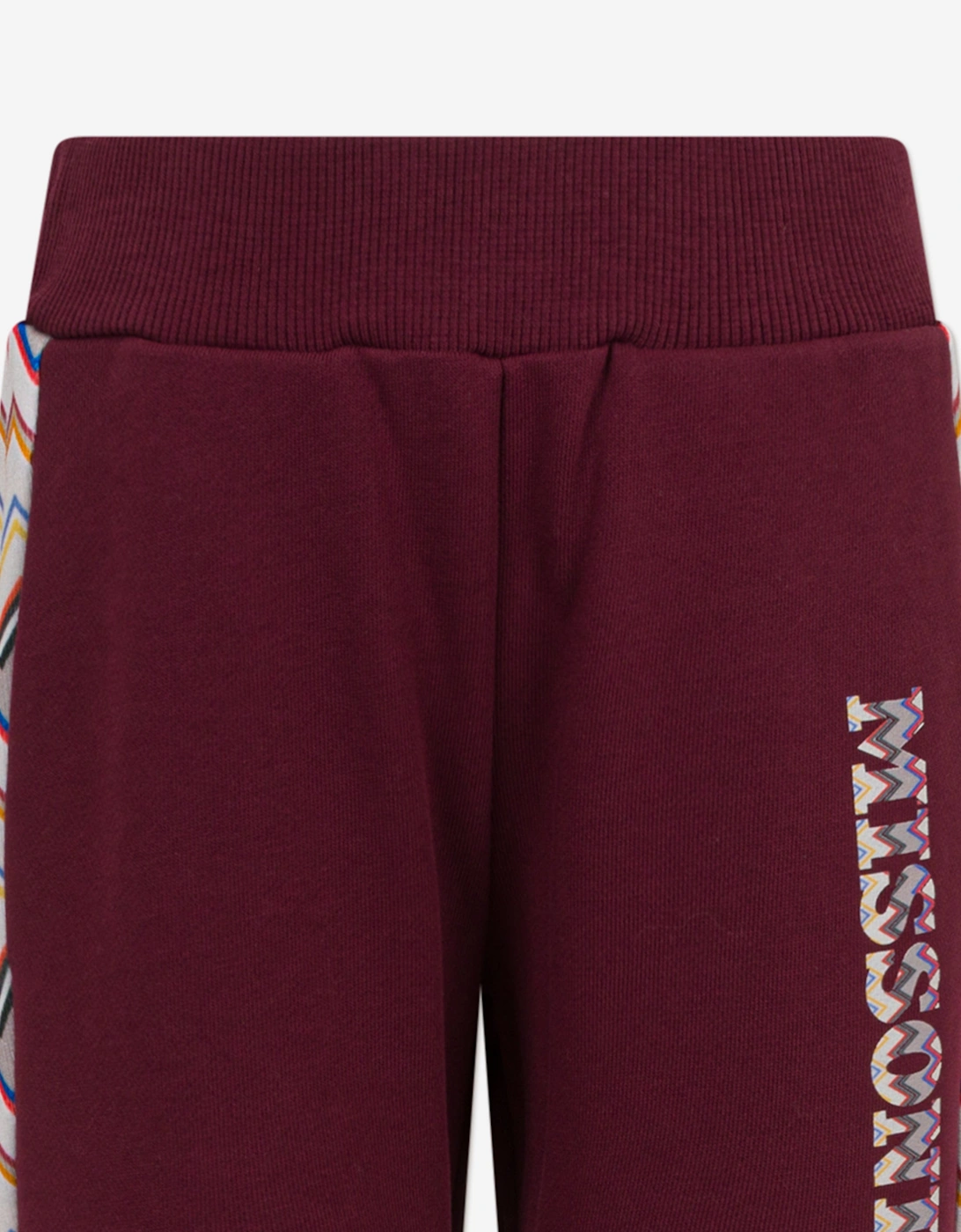 Boys Logo Joggersin Purple