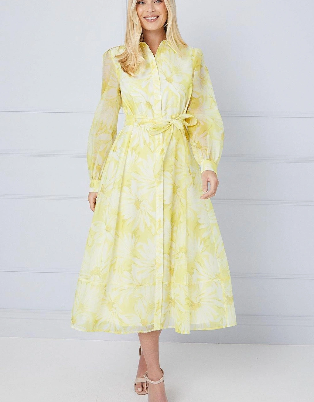 Petite Floral Organza Shirt Midi Dress, 2 of 1