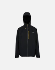 Black/Gold