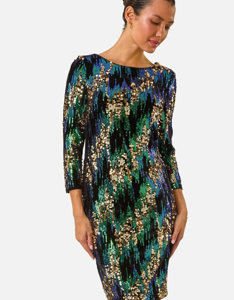 Sequin Velvet Dress