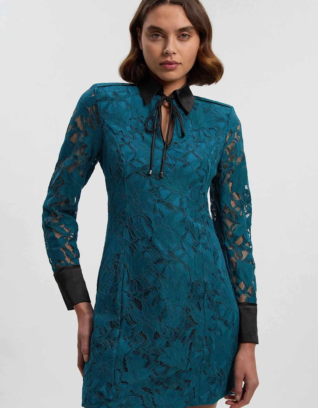Tipped Corded Lace High Neck Detail Woven Mini Dress, 2 of 1