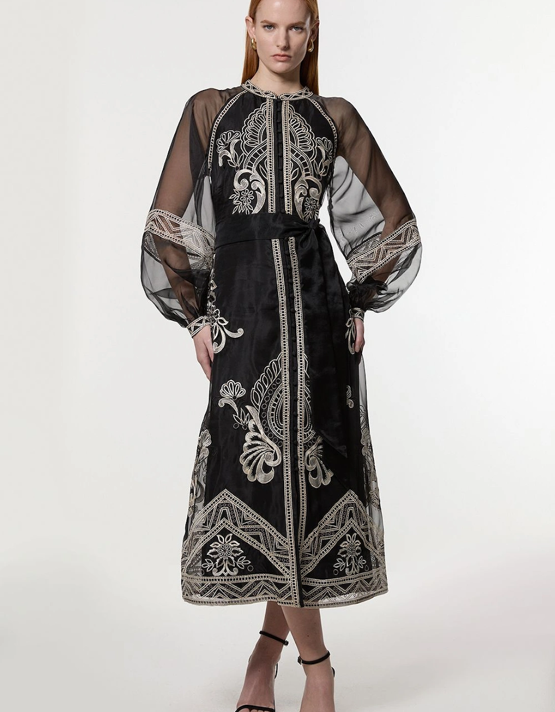 Embroidered Organdie Balloon Sleeve Woven Maxi Dress, 2 of 1