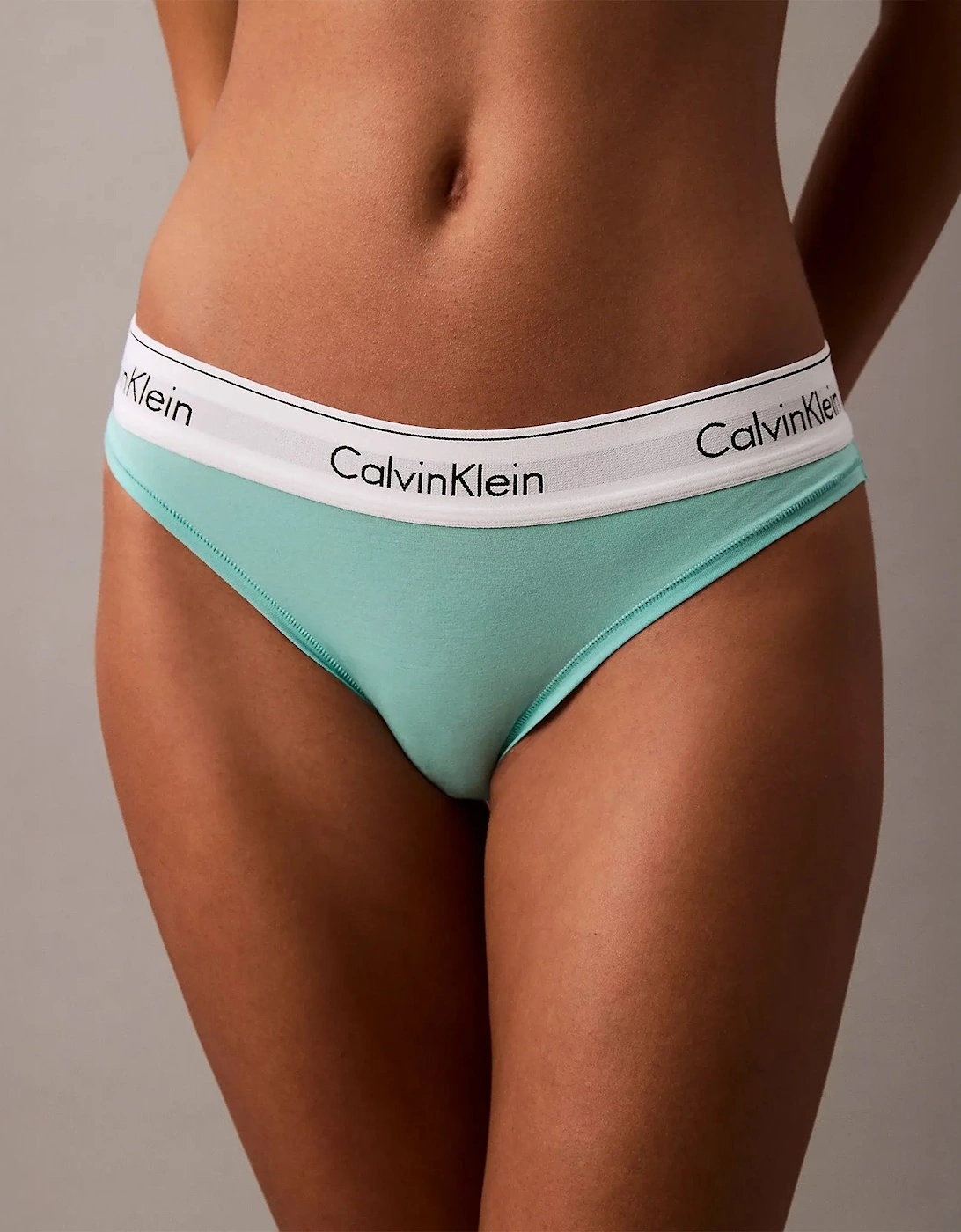 ICON Cotton Modal Womens Bikini Briefs Womens Beau Blue