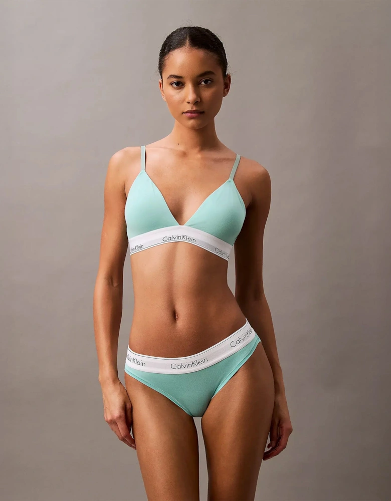 ICON Cotton Modal Womens Bikini Briefs Womens Beau Blue