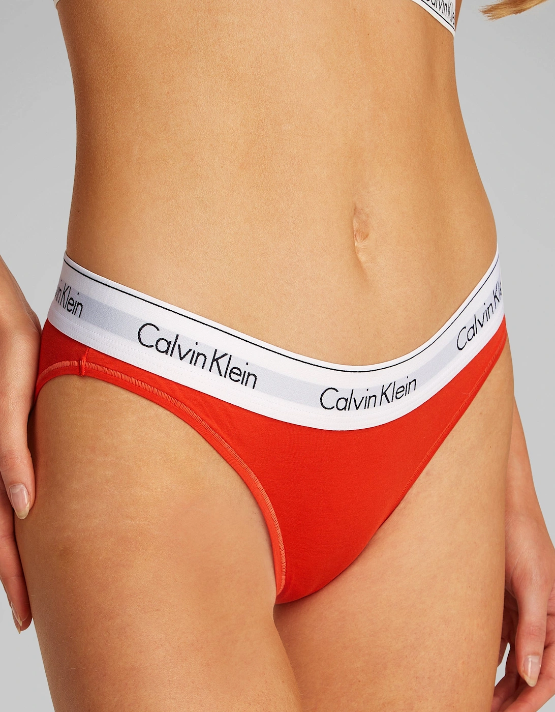 ICON Cotton Modal Womens Bikini Briefs Womens Molten