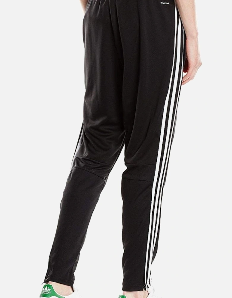 Condivo Climacool Pant Black/White