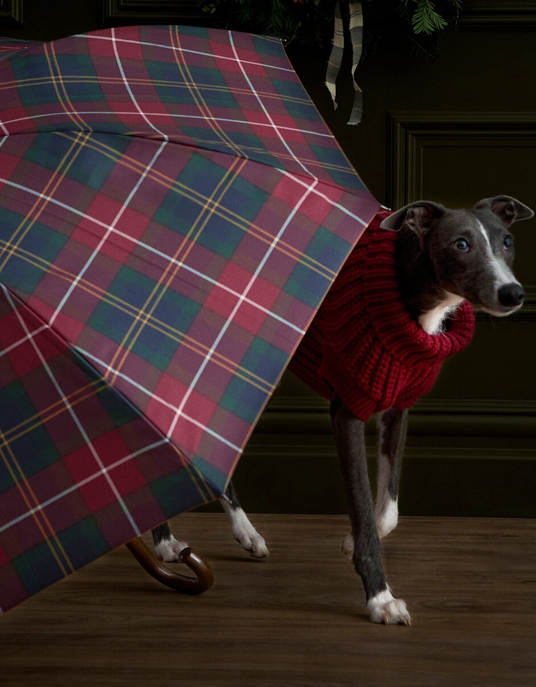 Tartan Walker Umbrella