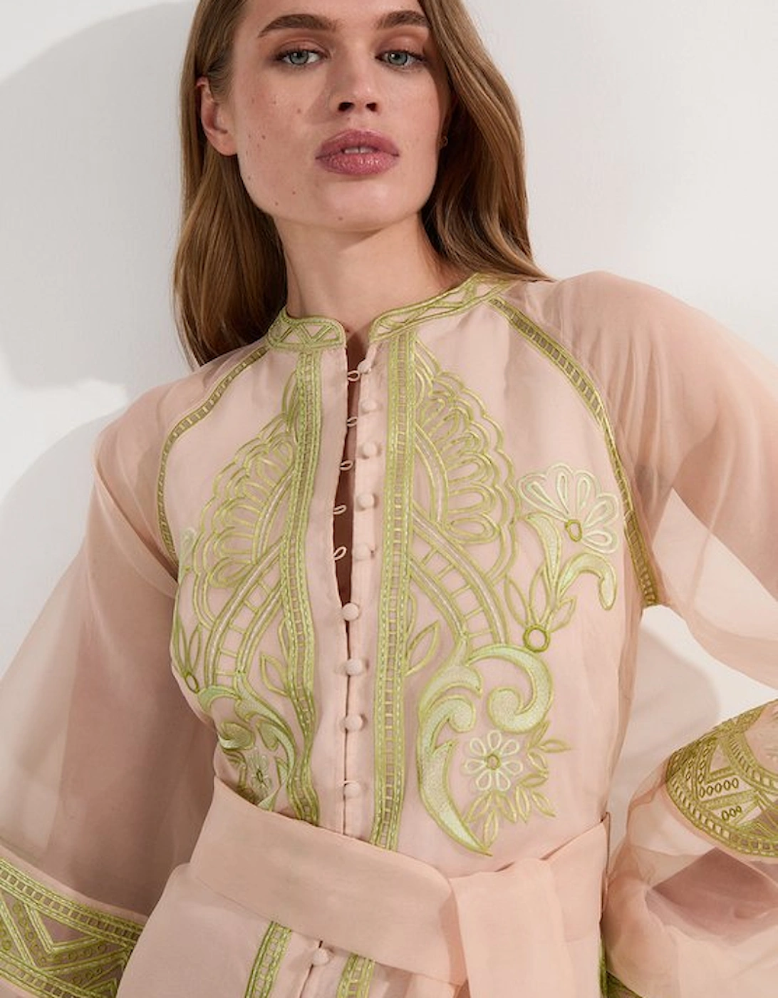 Embroidered Organdie Balloon Sleeve Woven Maxi Dress