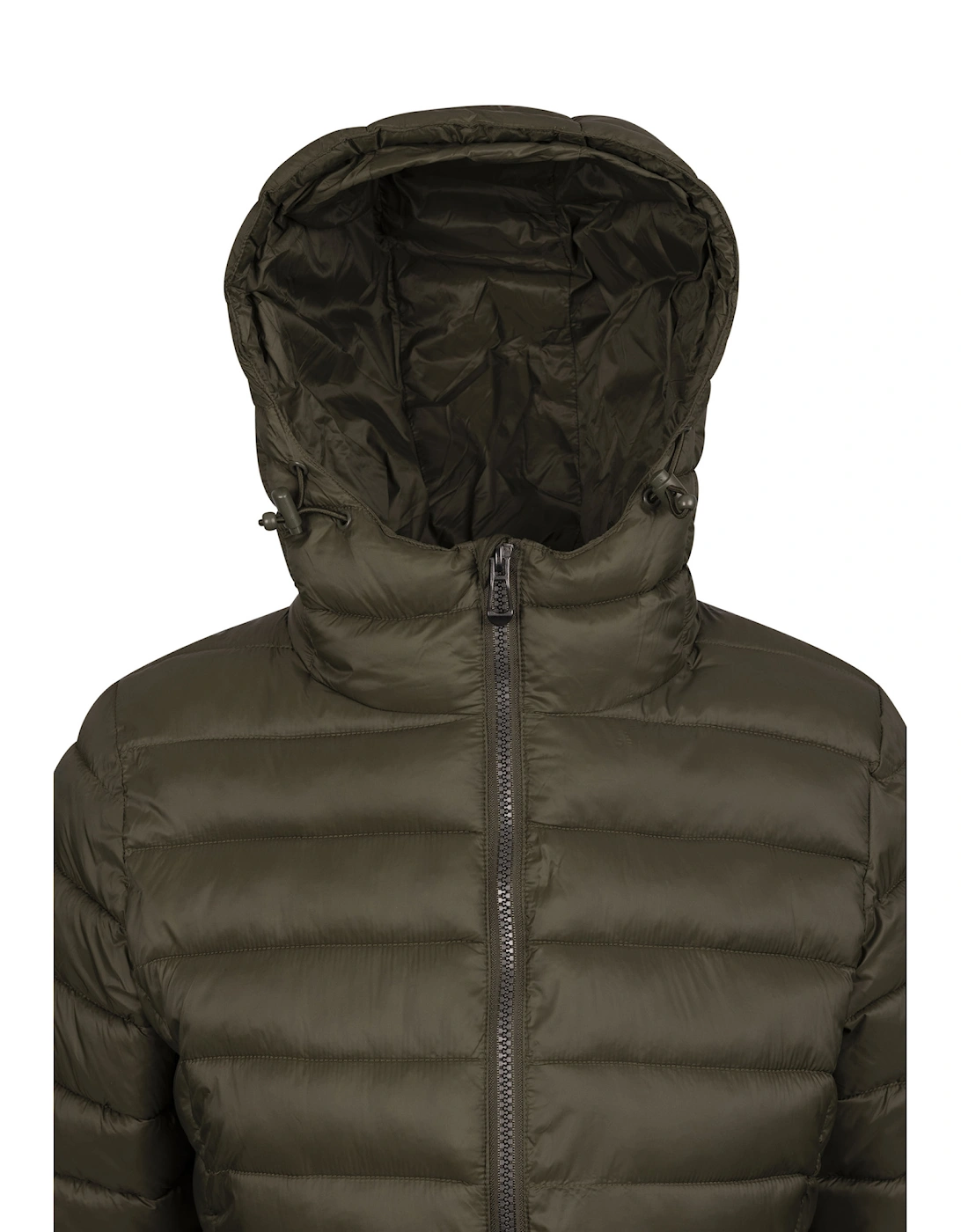 Womens/Ladies Dorothea Padded Jacket